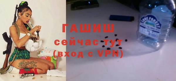 амф Гусиноозёрск