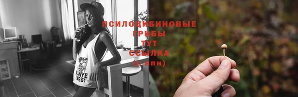 амф Гусиноозёрск