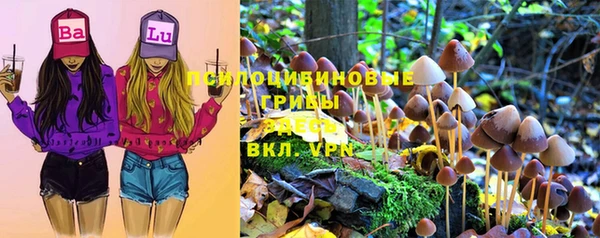 синтетический гашиш Гусев