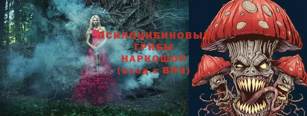 амф Гусиноозёрск