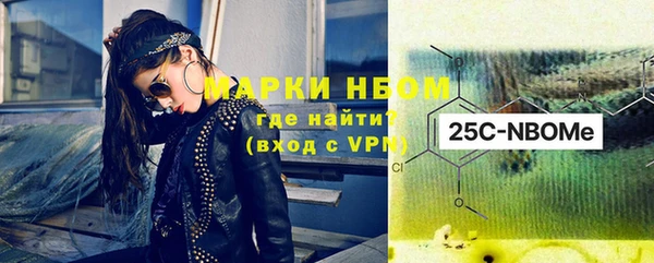 амф Гусиноозёрск
