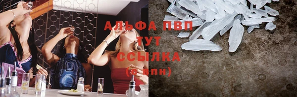 амф Гусиноозёрск