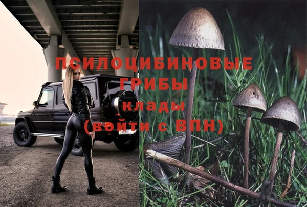 круглые Гусь-Хрустальный