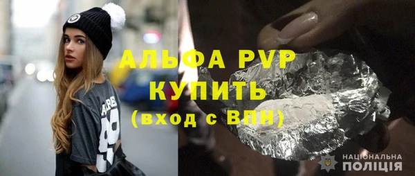 амф Гусиноозёрск