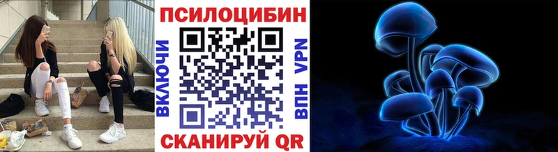 Купить закладки  Мегион  Псилоцибиновые грибы Psilocybine cubensis 