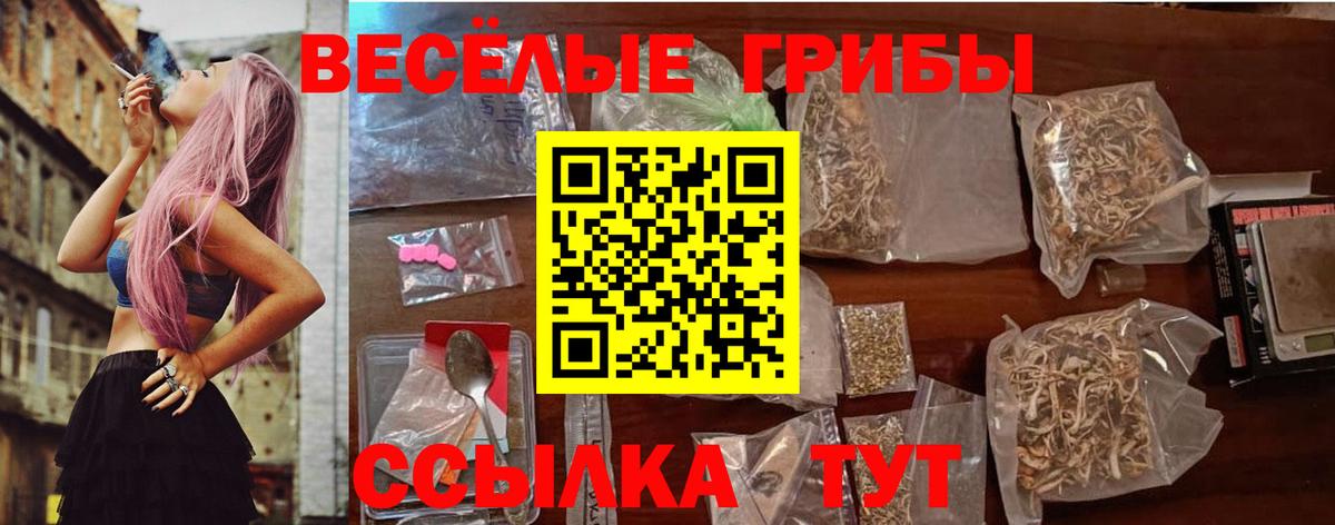 Псилоцибиновые грибы Psilocybine cubensis Мегион