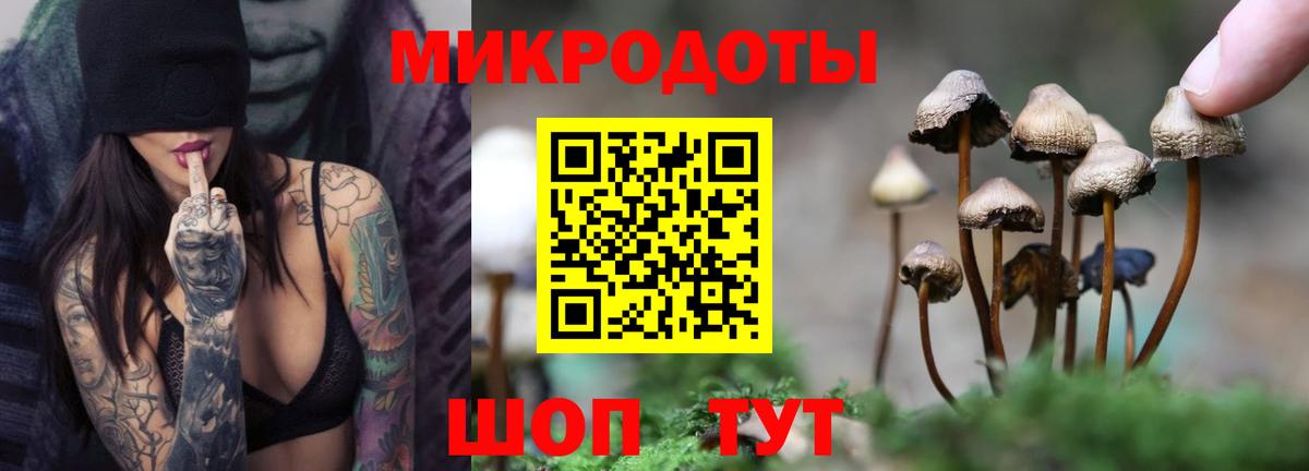 Мегион  Галлюциногенные грибы Psilocybe  Галлюциногенные грибы Magic Shrooms  Вход с VPN 